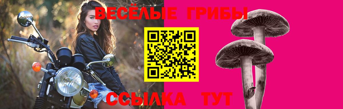 Галлюциногенные грибы GOLDEN TEACHER Тавда